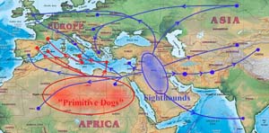 schematic map concerning the spread of primitive dogs and sighthounds 